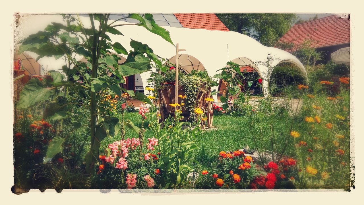 Großes Festzelt 10x20 m mit Beleuchtung